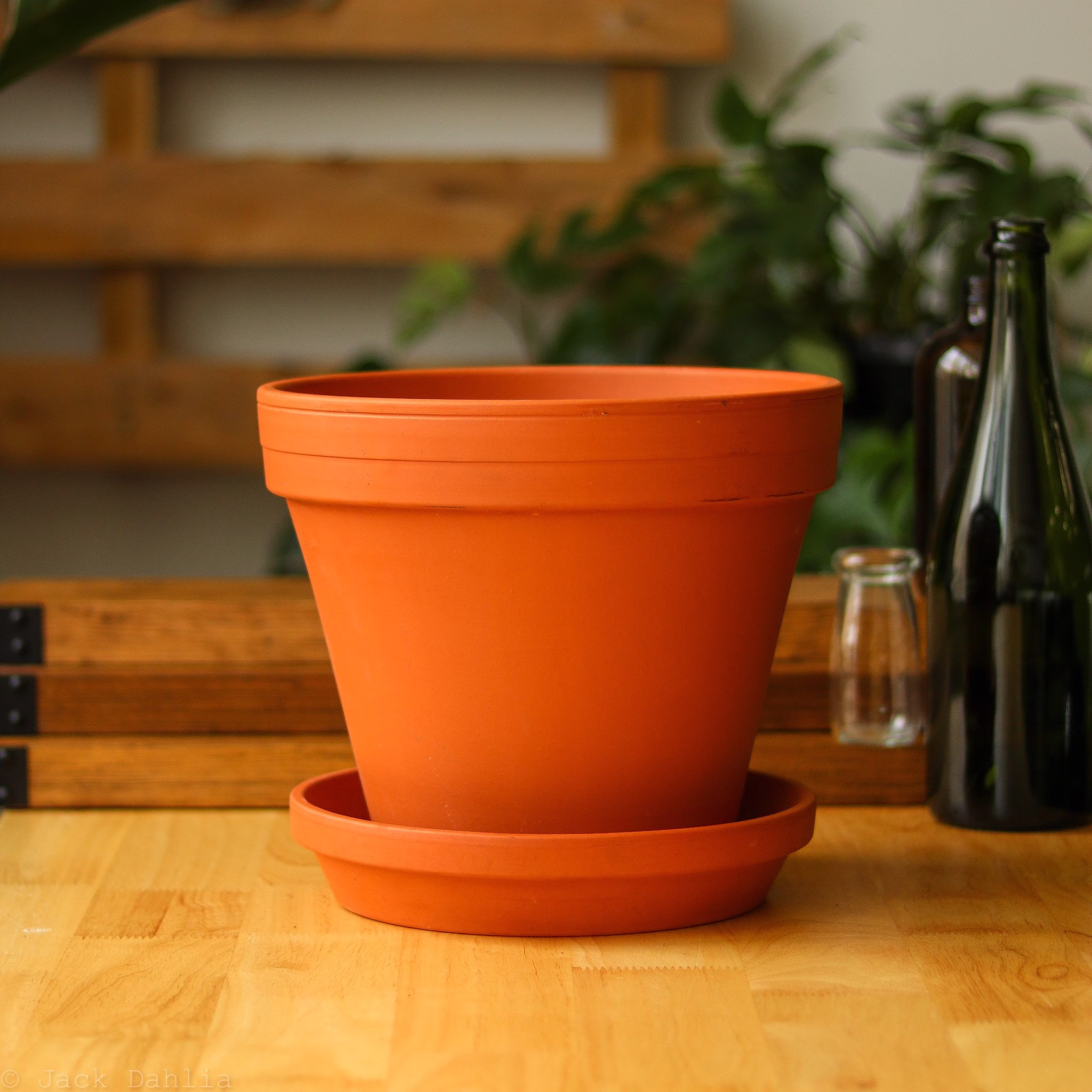 Clay Terra Cotta Pot With Saucer