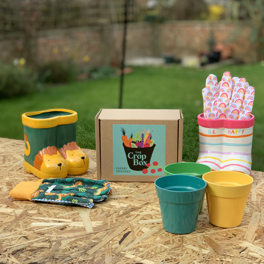 Grow Your Own Cherry Tomatoes Kit For Children