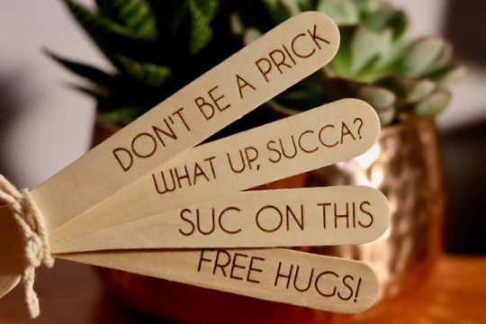 House Plant Garden Sticks. Succulent & Cactus Labels. Set Of Four House Plant Labels With Sassy Sayings