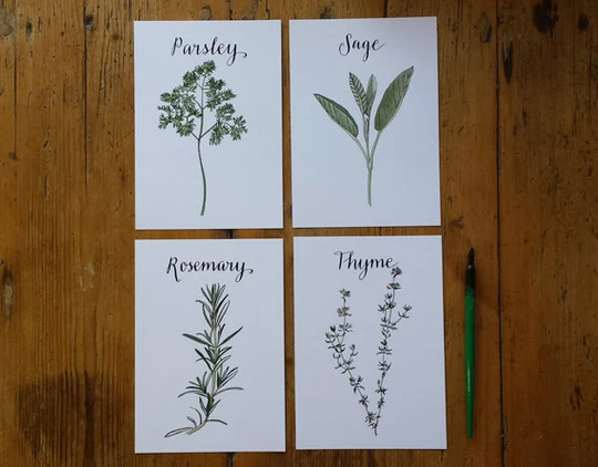 Herb Themed Art Prints Featuring Parsley, Sage, Rosemary & Thyme Illustrations Hand Lettering By Alice Draws The Line; A5