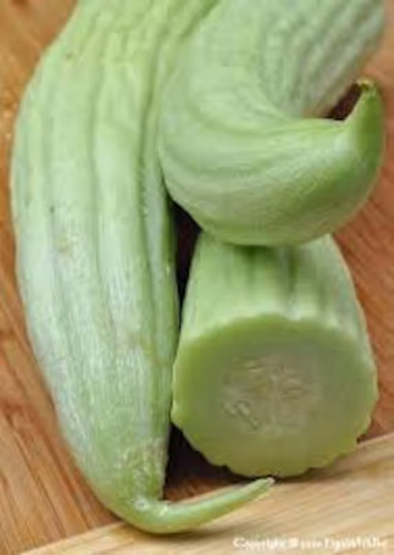 Armenian Cucumber Seeds, Us Organic Heirloom Non Gmo, Free Seeds With Order
