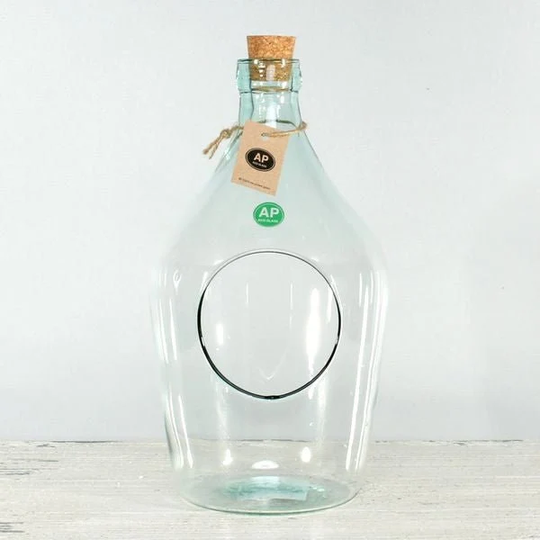 Recycled Demi-John Vase | 26cm Terrarium Glass Container For Cacti, Succulents & Indoor Planting - Fast & Free UK Delivery