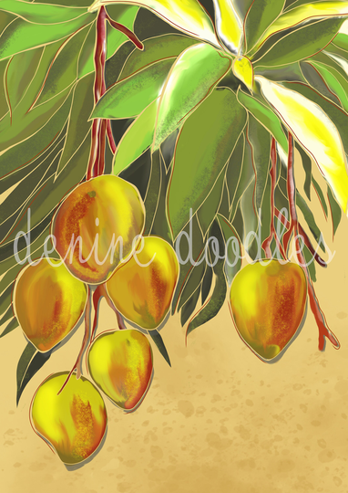 Mango Season