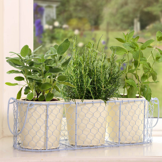 Kitchen Garden Herb Planter Trio