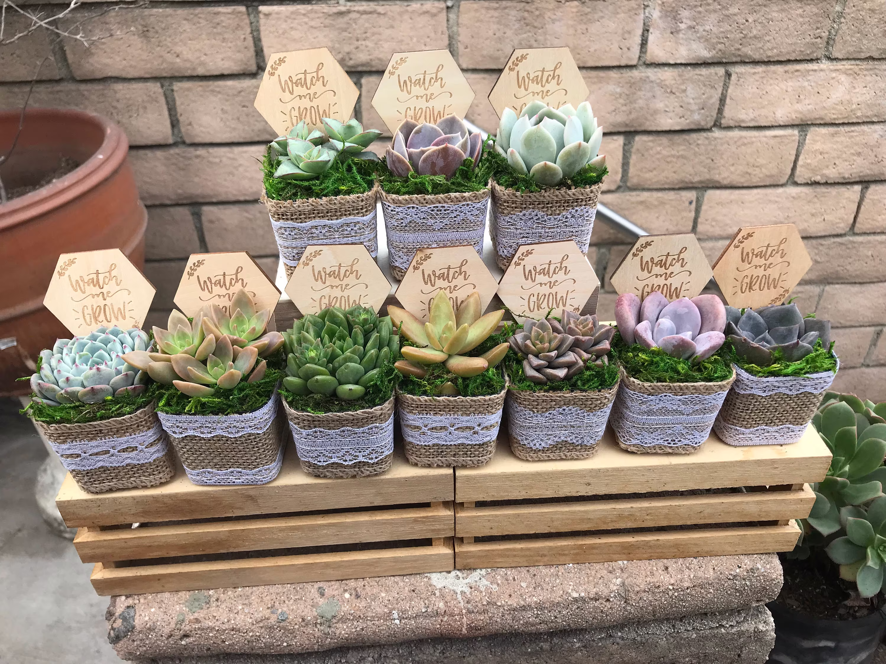 Watch Me Grow Baby Shower Party Favors. 2