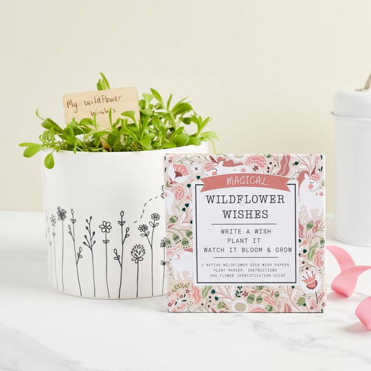 Magical Wildflower Wishes - Plantable Gift For Children
