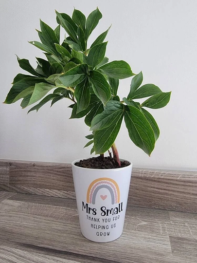 Personalised Teacher Plant Pot, Teachers Gift, End Of Year Lsa Senco Head Pot