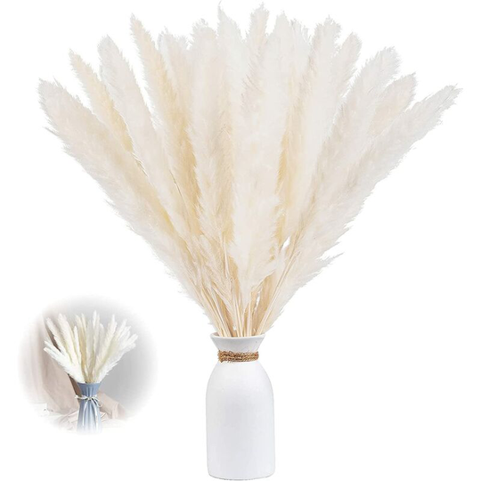 Fuhuidatrading - Herbe de pampa séchée Lot de 30, 43 cm Décoration de vases de fleurs séchées artificielles, décoration d'herbe de pampa et fleurs