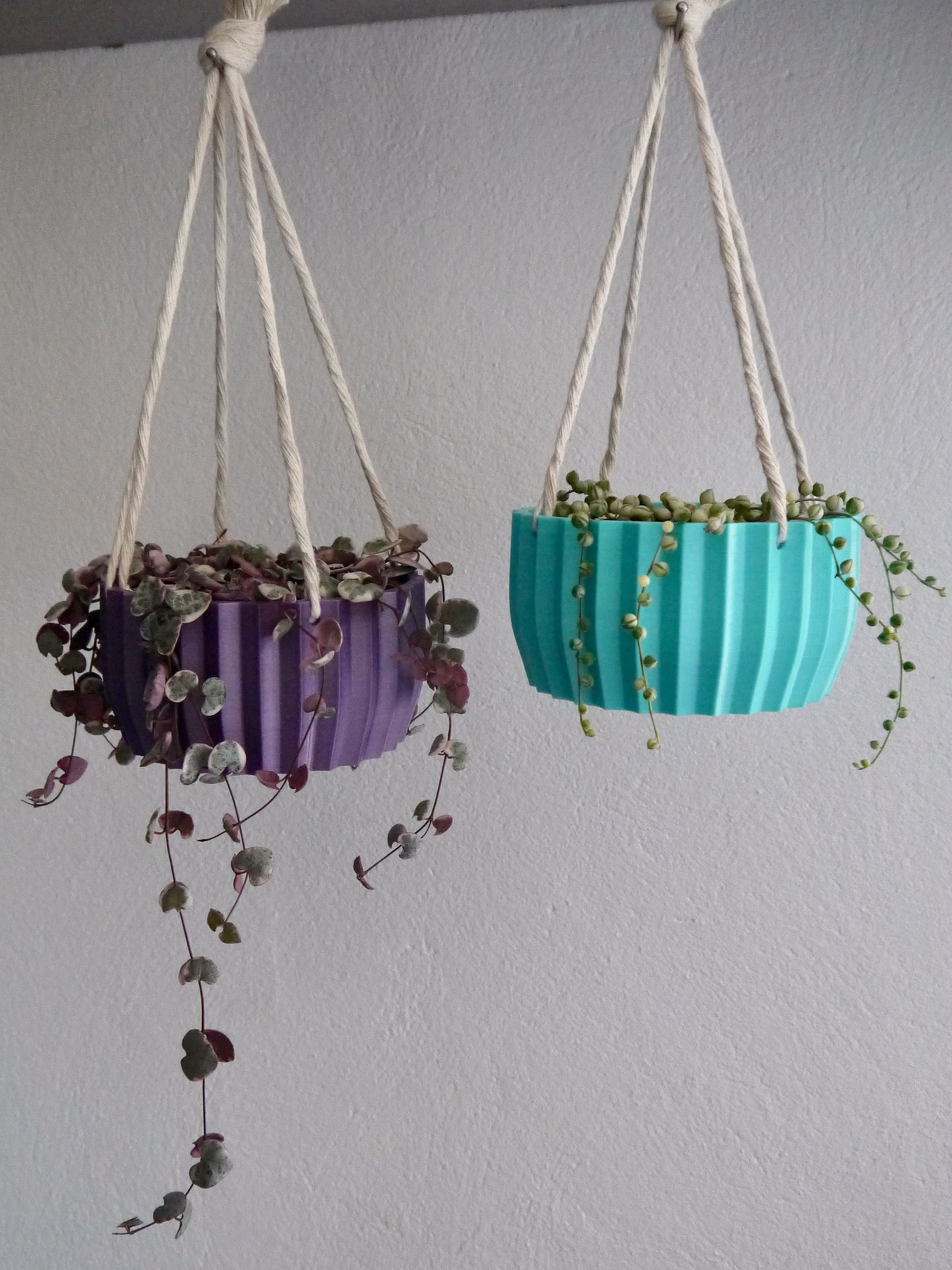 Shallow Succulent Hanging Plant Pot - Based Plastic Several Colours 3D Printed Planter Striped Eco Friendly Gift Present