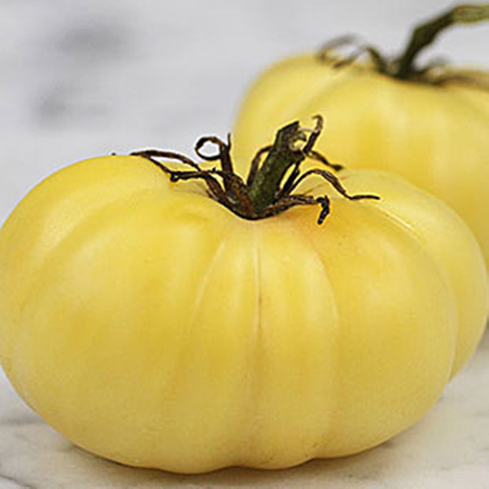 Tomato Seeds Jazon