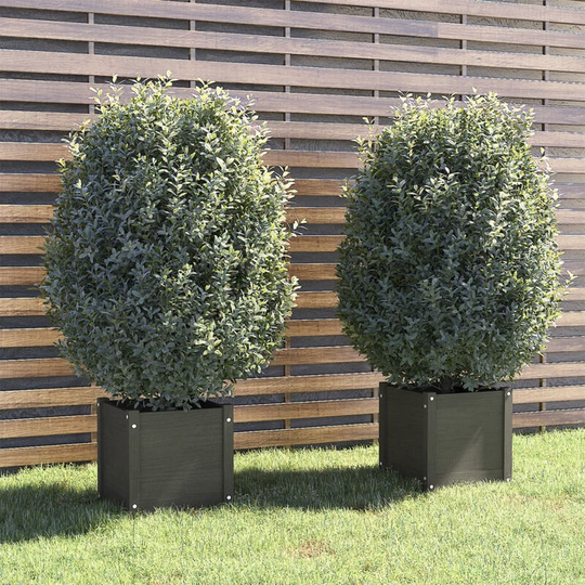 Asupermall - Garden Planters 2 pcs Grey 40x40x40 cm Solid Pinewood