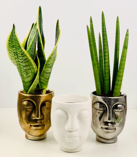 Face Silhouette Ceramic Planter - Gold, Silver, Copper, Grey & White