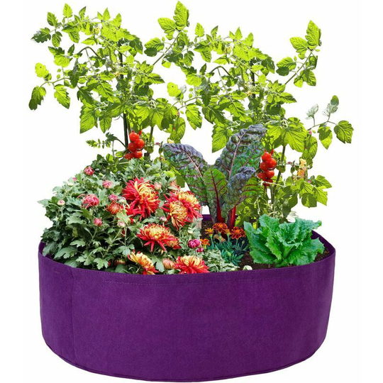 Extra Large Fabric Raised Planting Bed, BR-Vie 15 Gallon Round Raised Planter Grow Bag Garden Bed Bag with 6 Tags Planting Grow Container for Herb