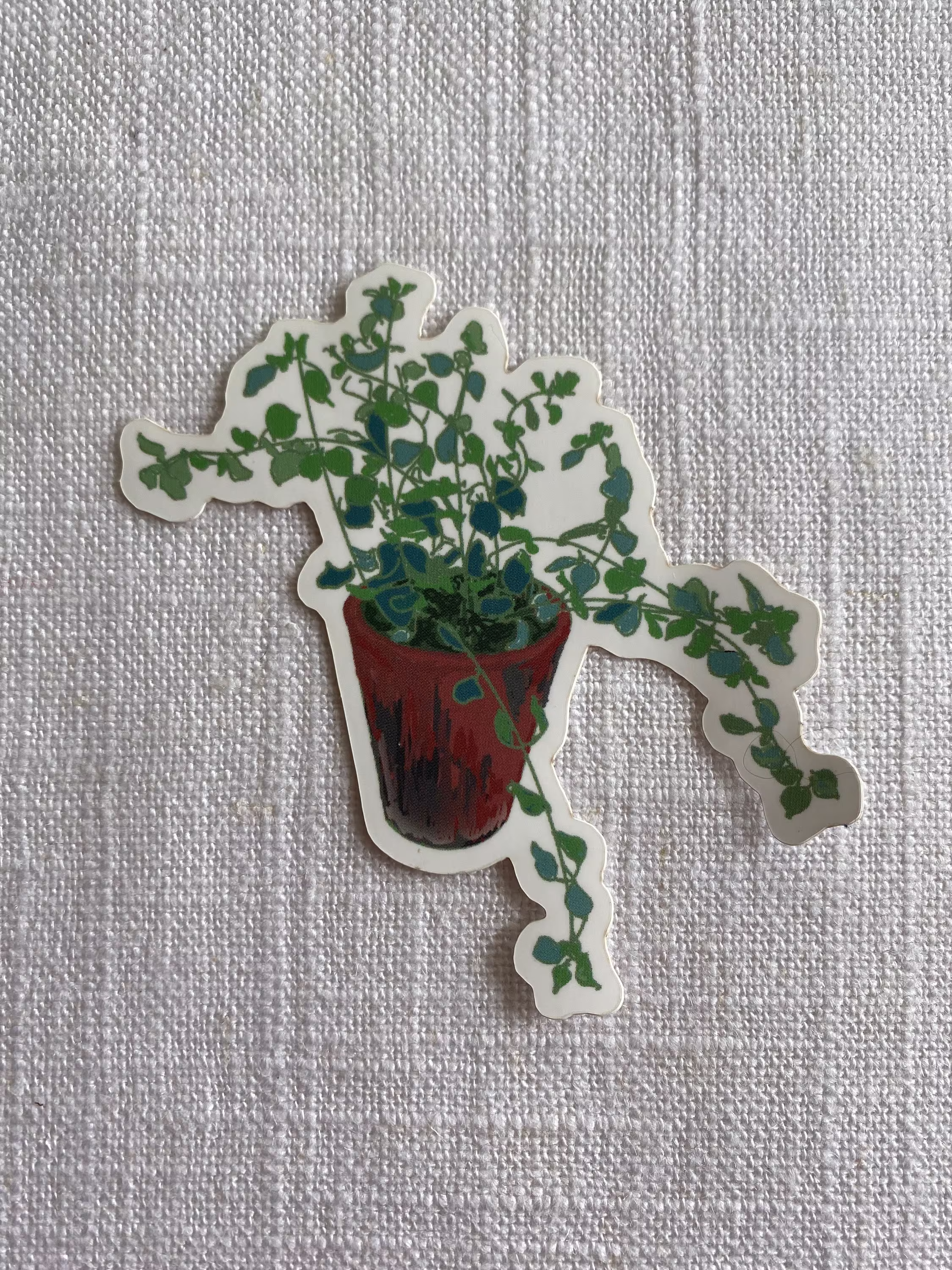 Plant Sticker ~ Waterproof Herb Matte Vinyl Decal Oregano in A Terracotta Pot