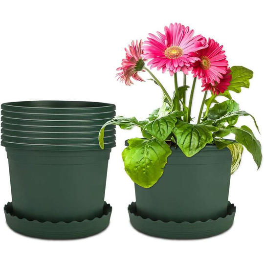 8 Packages 16cm Flower Pot Plastic Green Pots with Soucer Plastic Pot Plastic Garden Outdoor and Interior For Bonsai Plants Succulent Aloe Herb