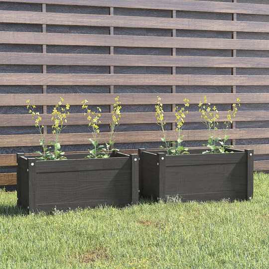 Asupermall - Garden Planters 2 pcs Grey 60x31x31 cm Solid Pinewood