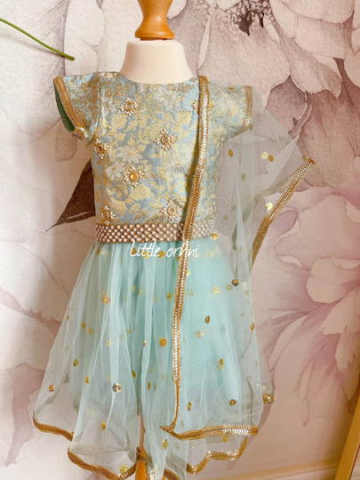 Powder Blue Lehanga With Hand Embroidery