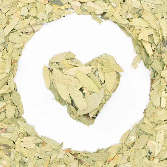 Senna Leaves 50/100/200G Liście Senesu Folium Sennae Sana Makki Premium Quality Herb & Herbal Tea