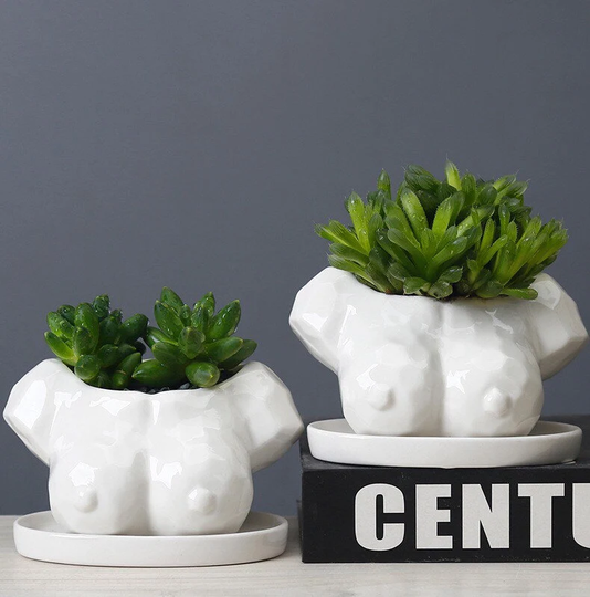 New Body Art Planter With Saucer/High Quality Ceramic Pots/ White Succulent Boobie Pots/Cactus Pot