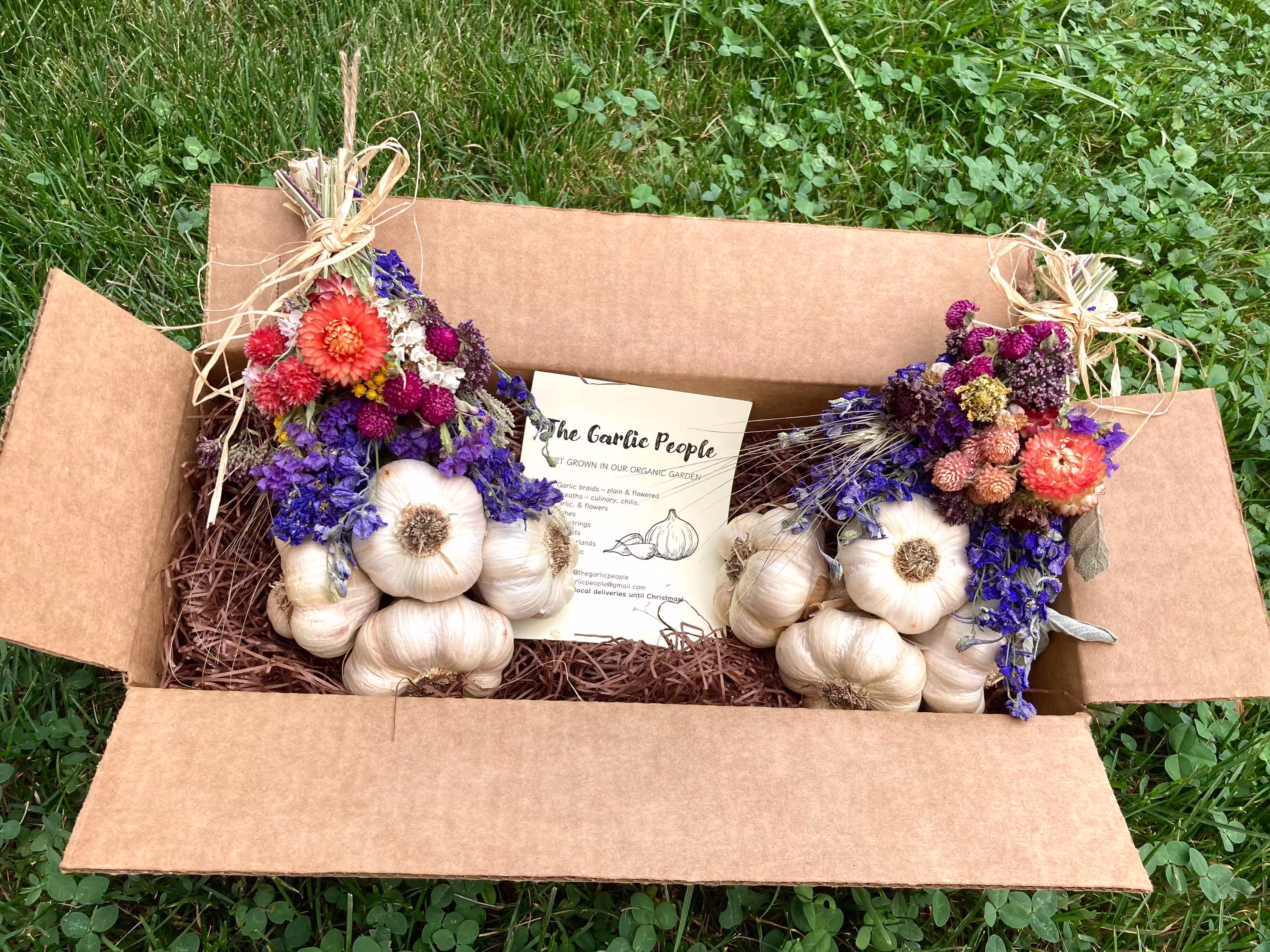 Set Of Two Small Organic Garlic Braids, Free Shipping, Italian House Blessing