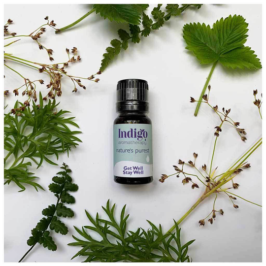 Get Well Stay Well Pure Essential Oil Blend