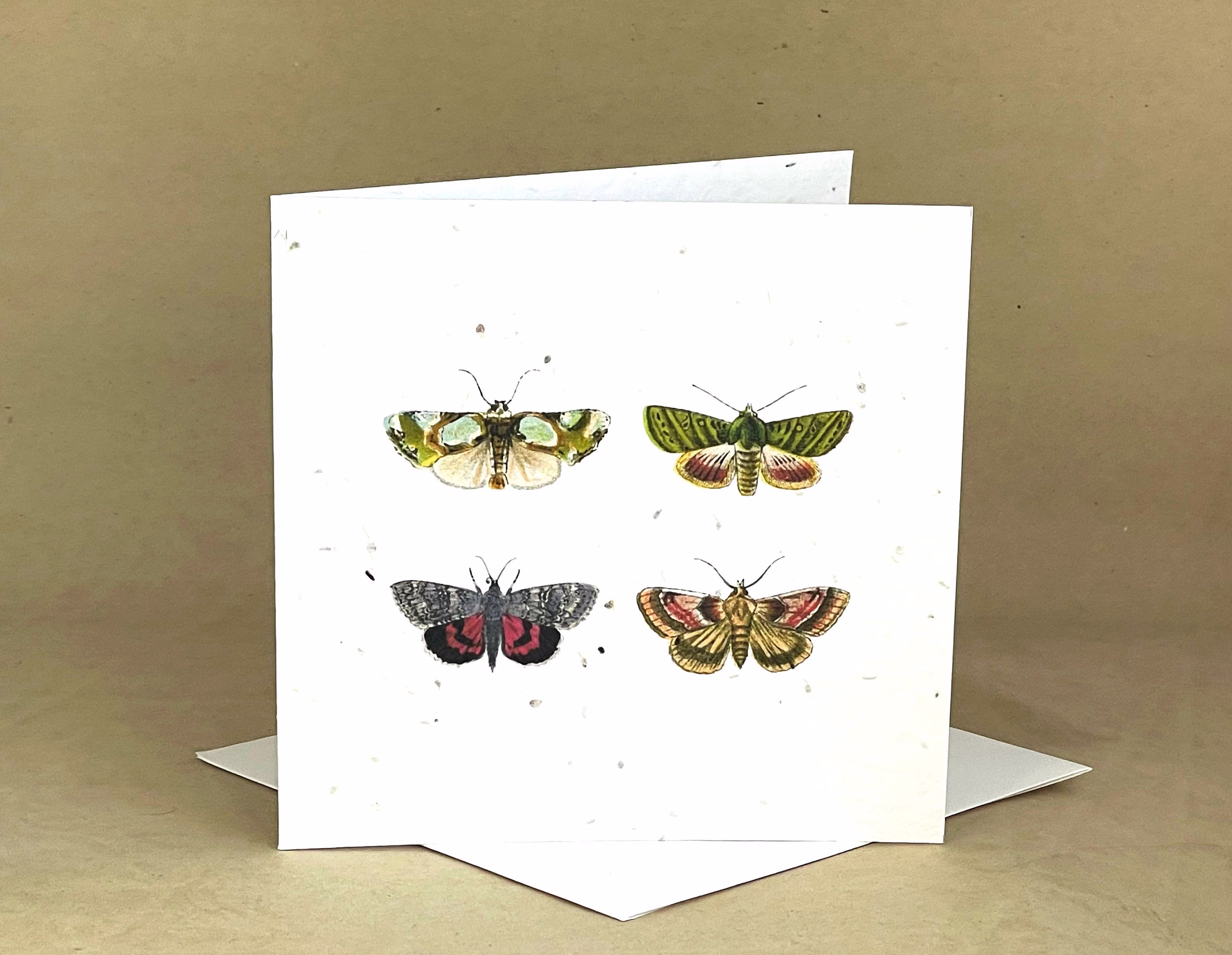 Plantable Eco-Friendly Seeded Card/Four Beautifully Vibrantly Colored Moths