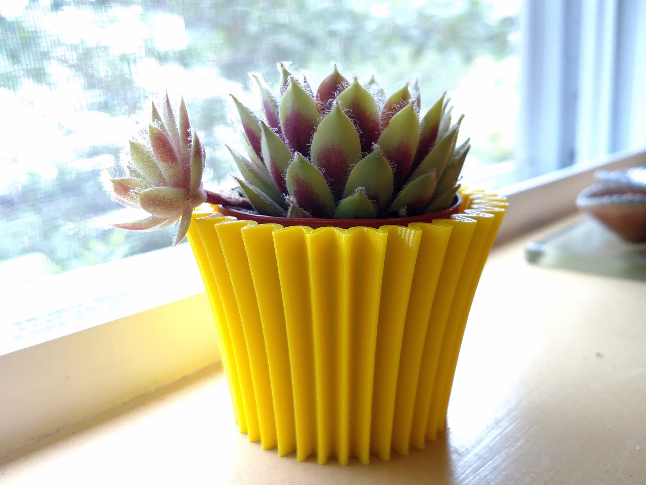 Cupcake 3D Printed Planter - Succulent Mini Modern Geometric Design Made To Order Choose Your Color & Size New Colors
