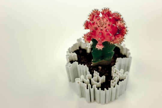 Organic Planter - 3D Printed Modern Plant Pot For Succulents Generative Art Flower Contemporary Abstract Cactus