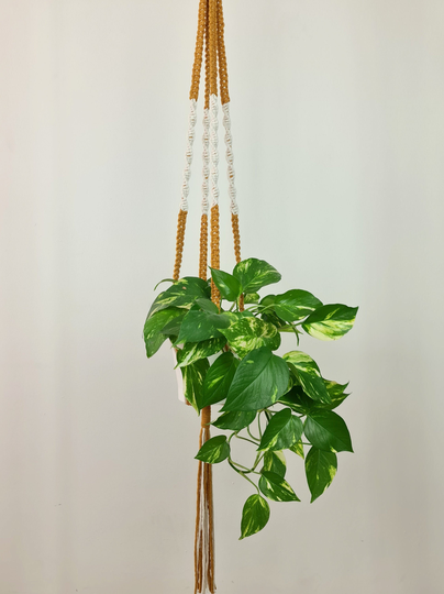 Two Colors Plant Hanger | Cotton Wooden Ring Hanging Decoration Natural Handmade Boho Flower
