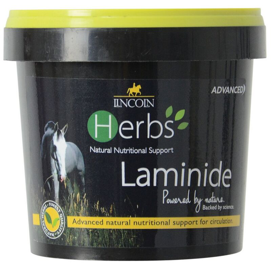Lincoln Herbs - Laminide (600g) (May Vary) - May Vary