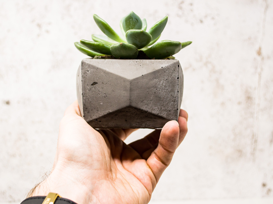 Minimal Concrete Plant Pot || Succulent Planter Indoor Cactus Gift Housewarming Air Holder