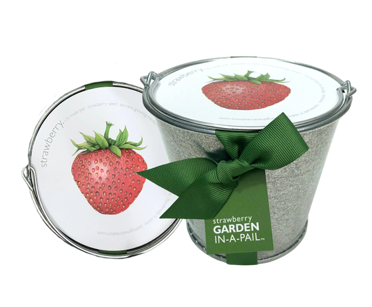 strawberry Garden-In-A-Pail | Alpine Complete Grow Kit, Omri Listed, Windowsill Gardening, Unique Gift