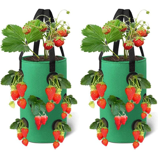 Benobby Kids - 2 Packs Strawberry Grow Bags,33X42 CMBreathable Planter Bag with 12 Side Grow Pockets Handles for Garden Strawberries, Herbs, Flowers,