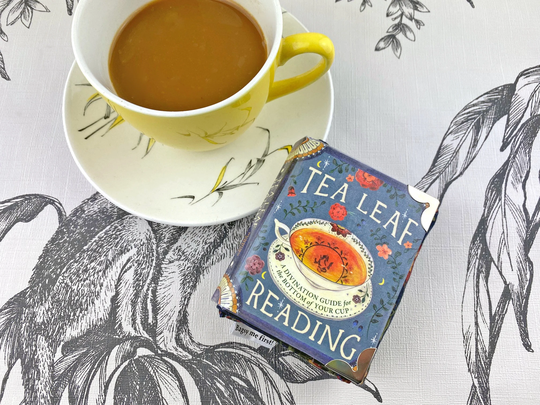 Tiny Coin Purse, Tea Leaf Reader, Tasseography, Fortune Telling, Divination, Tasseomancy, Book Coin Gift, Leaves