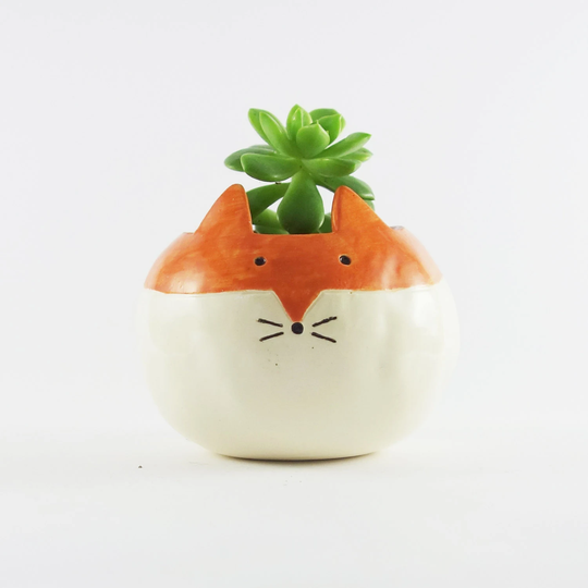 Plump Fox, Round Planter, Ceramic Pot, Animal Planter