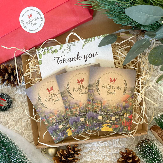 'Welsh Cottage' Wildflower Seed Gift Box