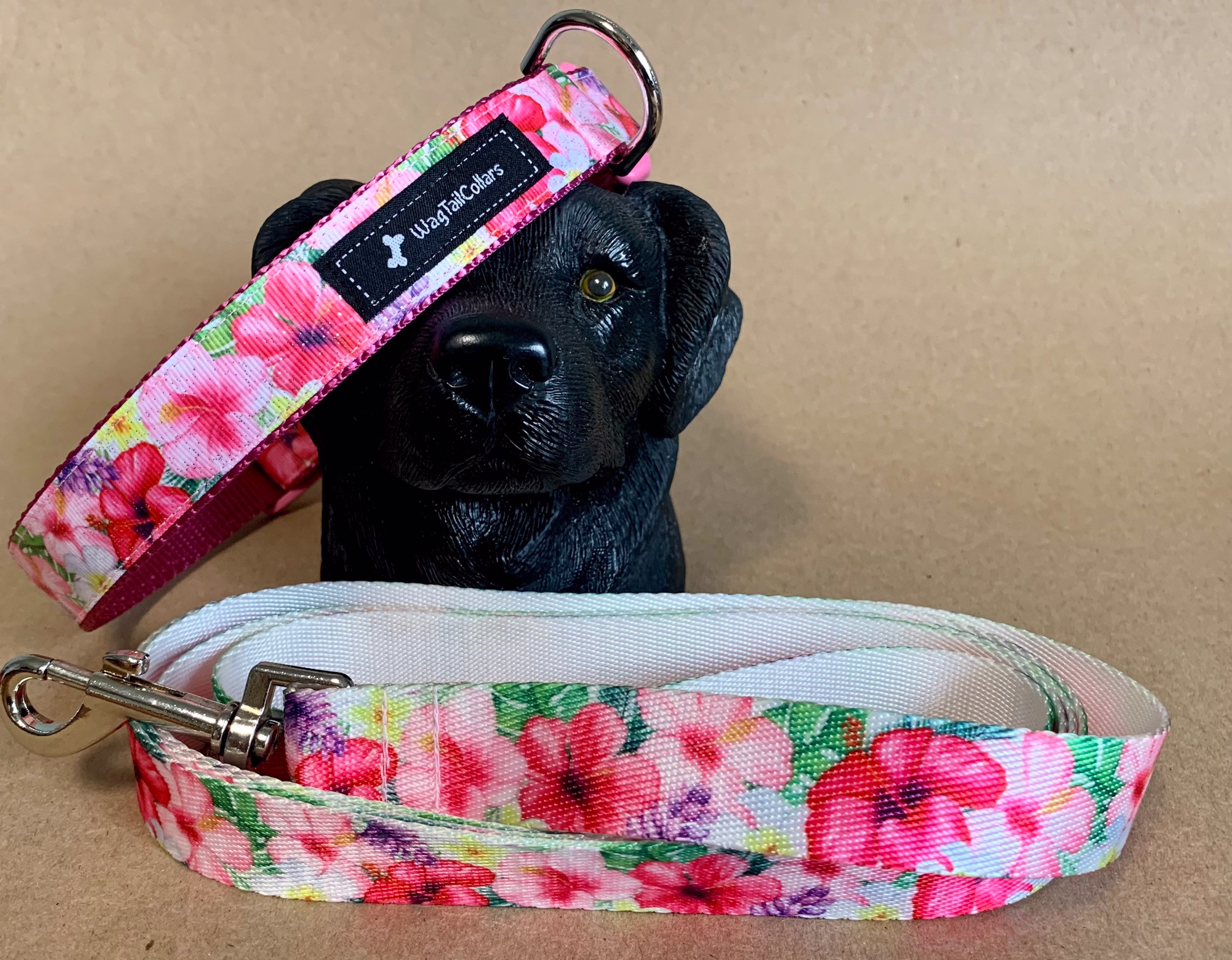 Hibiscus 6 Ft Leash & Shimmering Collar Set