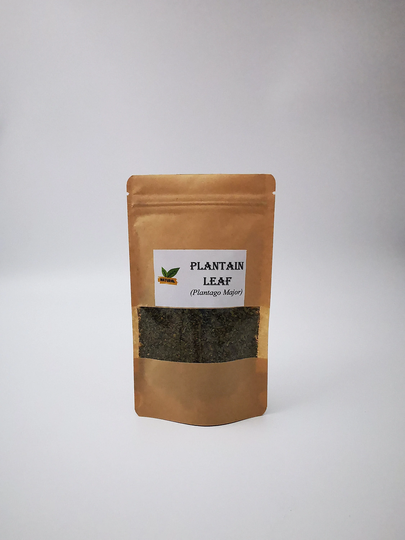 Plantain Leaf | Greater Organic | Plantago Major Tea