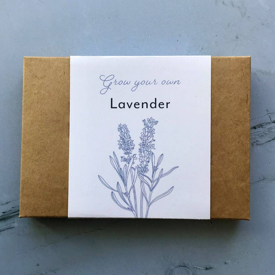 Grow Your Own Lavender