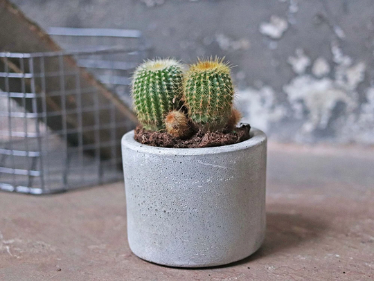 Mini Cement Planter