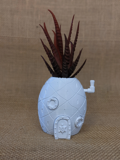 Diy Pineapple House