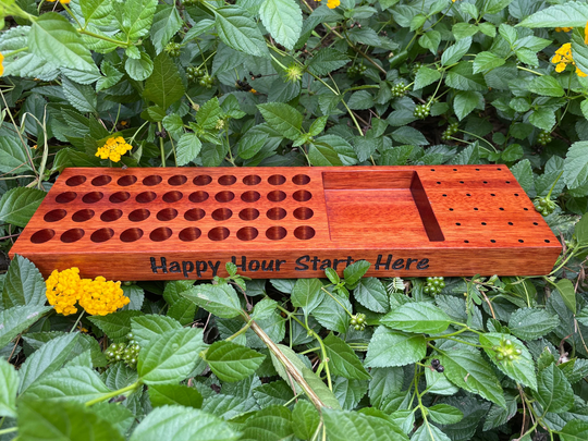 Shaker & Spoon Vial Organizer