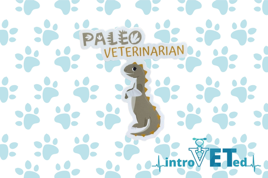 Veterinarian Sticker, Dinosaur Sticker, Dvm Sticker, Reptile Sticker, Vet Student Sticker, Exotic Veterinarian, Funny Dinosaur