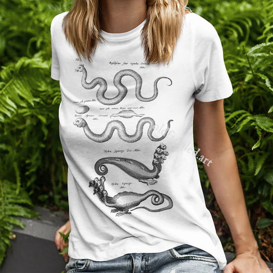 Dragons #1 | 1657 - Unisex Organic T-Shirt, Vintage Style Art T-Shirt