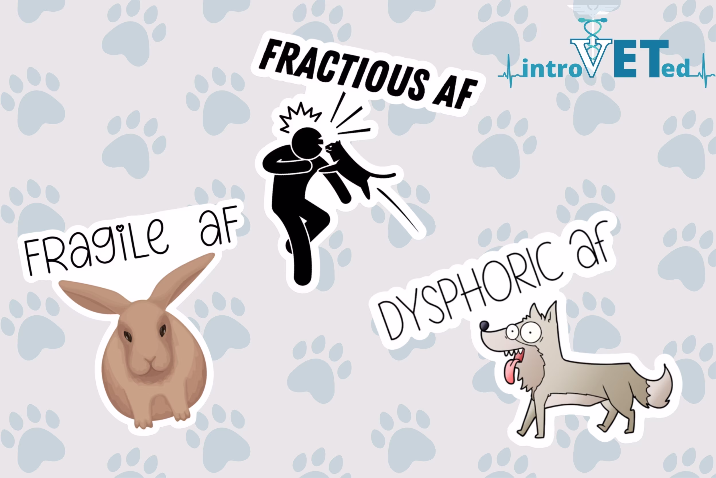 Veterinary Af Sticker Pack, Veterinarian Sticker, Vet Student Nurse Tech Dog & Cat Stickers, Funny