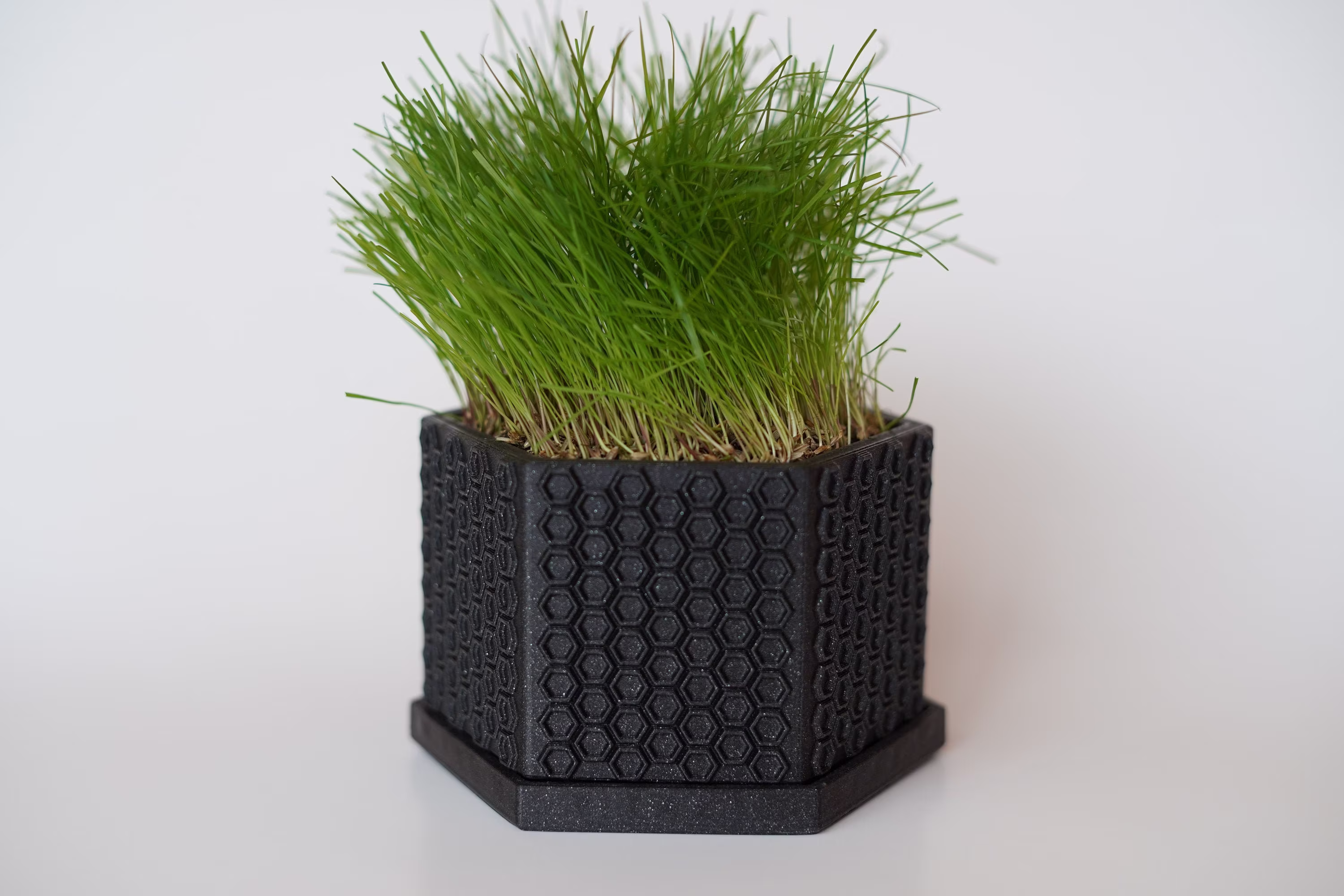 The Dhex Lawn | With Dirt & Seed Indoor Planter Gifts For Men Father's Day Desk Decor Toy Tools