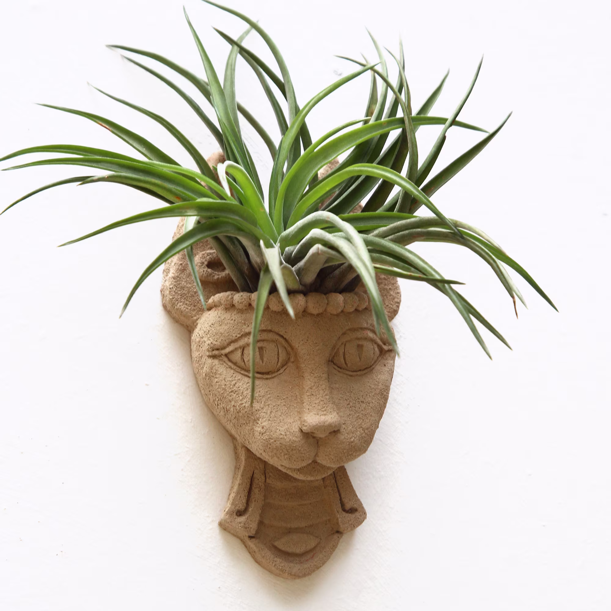 Cat Head Air Plant Holder, Air Planter, Sculpture, Stone Wall Hanging, Egyptian Cat Art, Pot
