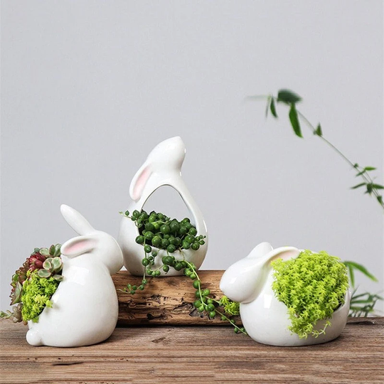 Beautiful Ceramic Rabbit Pots Creating A Unique Modern Look For Your Plants, Ideal Succulent Pant Indoor Plants