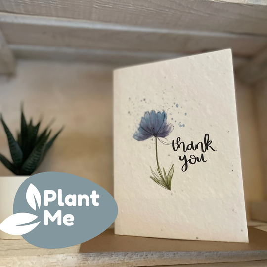 Plantable Thank You Cards A6 Seed Cards Eco Friendly Gift
