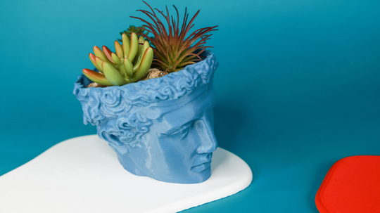 Head Planter| Bust Head Plant Pot|Indoor Succulent Desk Planter|Desk Decor|Indoor Garden| Theathlete